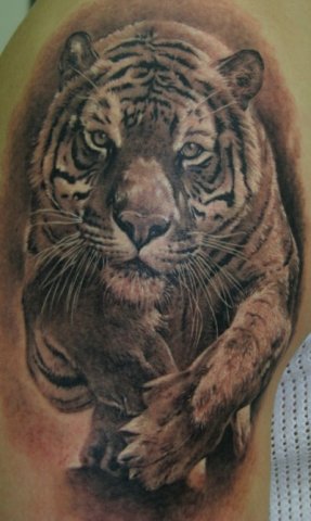 Фото и  значения татуировки Тигр. X_86e17fab